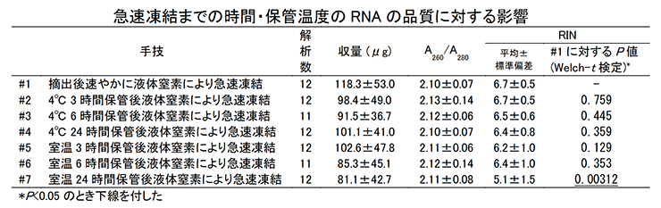 急速凍結までの時間・保管温度のRNAの品質に対する影響