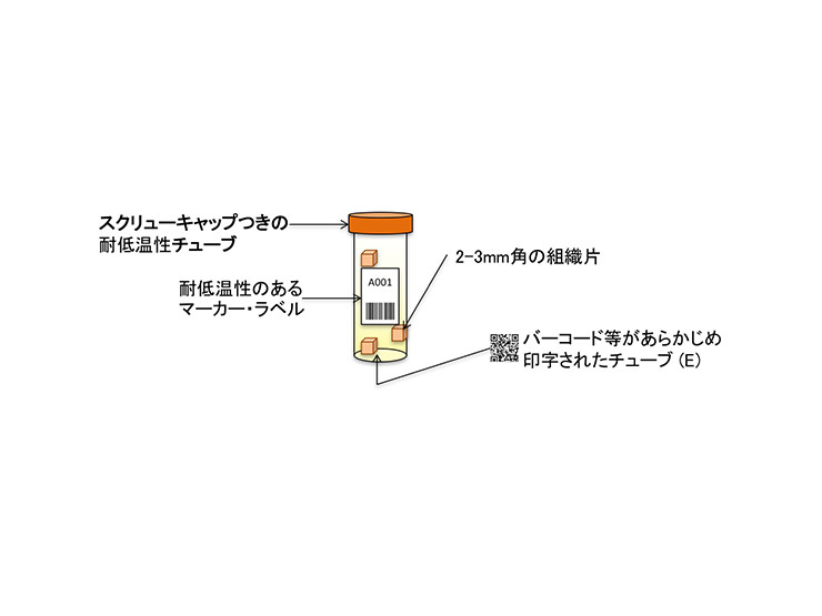 スクリューキャップつきの耐低温性チューブ