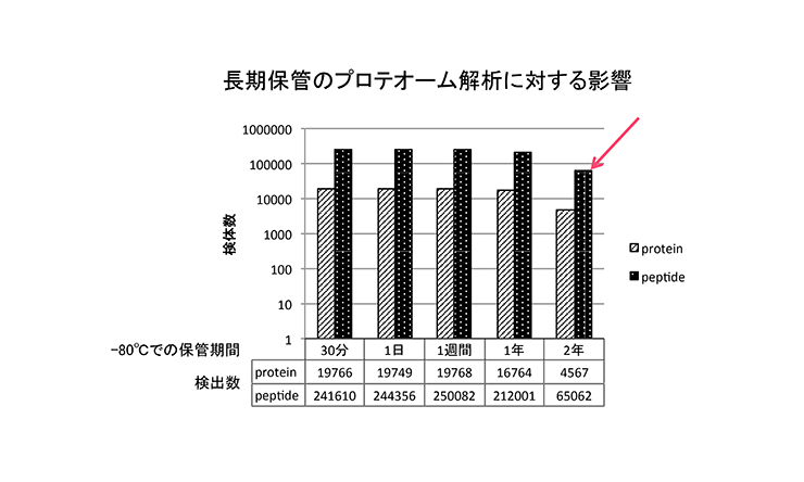 長期保管のプロテオーム解析に対する影響