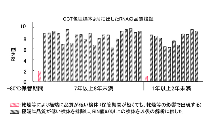 OCT包埋標本より抽出したRNAの品質検証