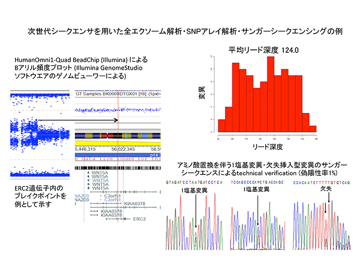 次世代シークエンサを用いた全エクソーム解析・SNPアレイ解析・サンガーシークエンシングの例