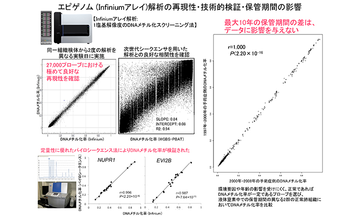 エピゲノム (Infiniumアレイ)解析の再現性・技術的検証・保管期間の影響