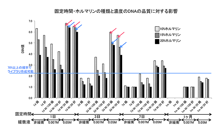 固定時間・ホルマリンの種類と濃度のDNAの品質に対する影響