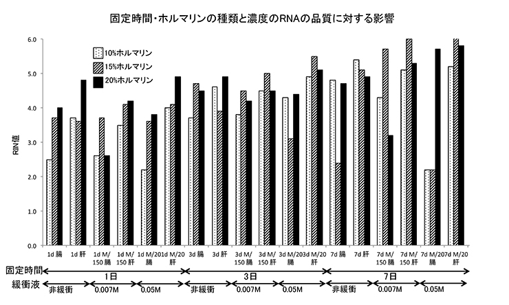 固定時間・ホルマリンの種類と濃度のRNAの品質に対する影響