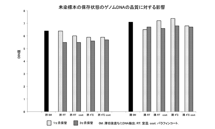 未染標本の保存状態のゲノムDNAの品質等に対する影響