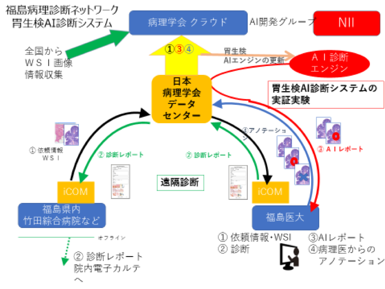 https://www.pathology.or.jp/jp-aid/post_20190315_fig_3.png